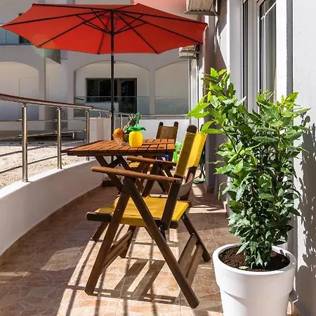 Apartment Olive Tree