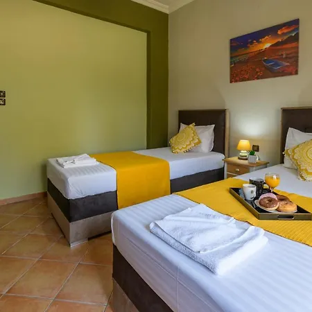 Olive Tree Apartament
